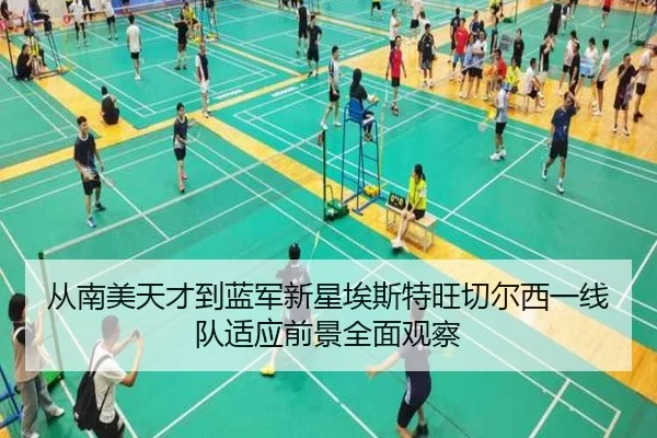 从南美天才到蓝军新星埃斯特旺切尔西一线队适应前景全面观察